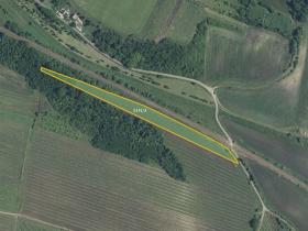 Prodej pole, Novosedly, 9816 m2