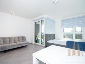 Pronájem bytu 1+kk, Praha - Žižkov, Olgy Havlové, 38 m2