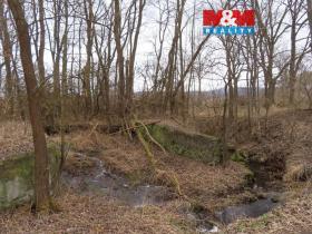 Prodej louky, Petrovice - Žemličkova Lhota, 2513 m2