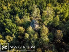 Prodej lesa, Šimonovice, 30343 m2