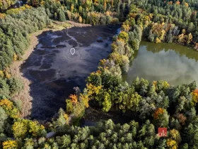 Prodej pozemku, Chlum u Třeboně - Žíteč, 64790 m2