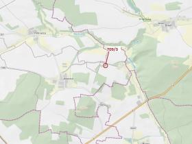 Dražba lesa, Osek, 301 m2