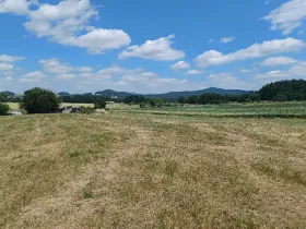 Dražba pozemku, Jestřebí, 13769 m2