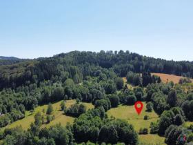 Prodej pozemku pro bydlení, Olešnice v Orlických horách, 3027 m2