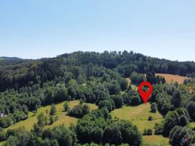 Prodej pozemku pro bydlení, Olešnice v Orlických horách, 3446 m2
