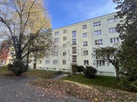 Prodej bytu 2+1, Praha - Žižkov, K lučinám, 50 m2