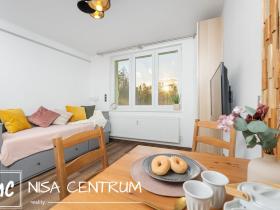 Pronájem bytu 1+kk, Velké Hamry, 27 m2