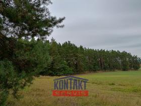 Prodej lesa, Budětice - Vlkonice, 32746 m2