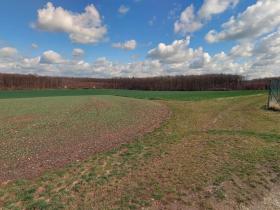 Prodej pole, Lišice, 205582 m2