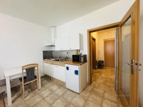 Pronájem bytu 1+kk, Zlín, Na Honech I, 27 m2