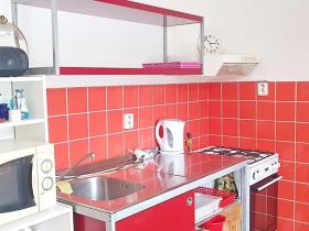 Pronájem bytu 1+1, Brno - Veveří, Úvoz, 38 m2