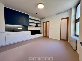 Pronájem bytu 1+kk, Brno, Peroutková, 25 m2
