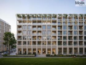 Prodej bytu 2+kk, Golem, 61 m2