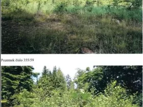 Prodej lesa, Pokojov, 3182 m2