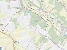 Prodej lesa, Horní Olešnice, 7037 m2