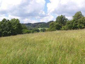 Dražba louky, Hnátnice, 1570 m2