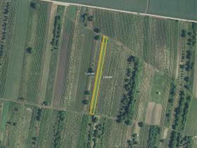 Prodej pole, Brumovice, 5714 m2