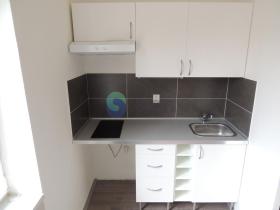 Pronájem bytu 1+kk, Ostrava - Mariánské Hory, Slavníkovců, 22 m2