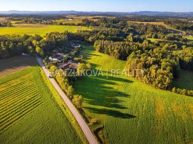 Prodej pozemku pro bydlení, Dubičné, 3914 m2
