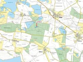 Dražba lesa, Břehov, 13807 m2