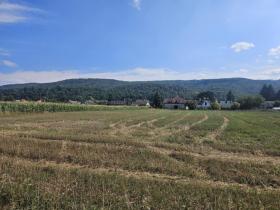 Prodej pozemku pro bydlení, Lety, Prostřední, 6301 m2