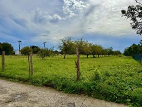 Prodej pozemku pro bydlení, Turovice, 1000 m2