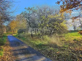 Prodej pozemku pro bydlení, Zbinohy, 1000 m2