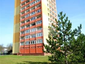 Prodej bytu 1+kk, Chomutov, Seifertova, 20 m2
