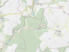 Dražba lesa, Kojetín, 152 m2