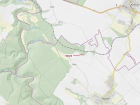 Dražba lesa, Březník, 234 m2