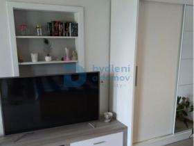 Pronájem bytu 1+kk, Loučany, 45 m2