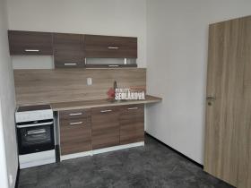 Pronájem bytu 1+1, Děčín - Děčín II-Nové Město, Horská, 42 m2