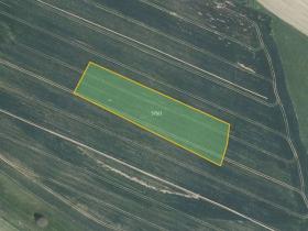 Prodej pole, Nová Ves u Světlé, 6891 m2