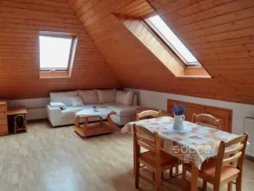 Pronájem bytu 2+kk, Mladá Boleslav, Palackého, 70 m2