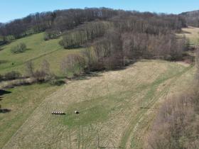 Prodej pozemku pro bydlení, Heřmanov - Fojtovice, 4280 m2