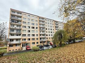 Prodej bytu 1+1, Most, Jana Kubelíka, 27 m2