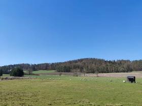 Prodej pozemku pro bydlení, Horažďovice, 2250 m2