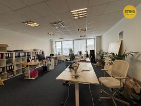 Pronájem kanceláře, Sviadnov, 54 m2