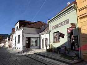 Prodej obchodního prostoru, Sušice - Sušice II, Příkopy, 135 m2