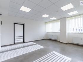Pronájem kanceláře, Příbram - Příbram VI-Březové Hory, K Podlesí, 60 m2
