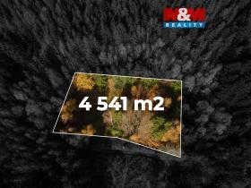 Prodej louky, Milíkov, 4541 m2