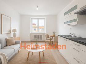 Pronájem bytu 1+kk, Havířov - Město, Hlavní třída, 19 m2