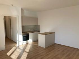 Pronájem bytu 1+kk, Praha - Žižkov, Na rovnosti, 50 m2