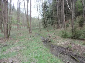 Prodej lesa, Osečná, 3006 m2