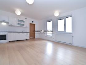 Pronájem bytu 1+kk, Praha - Kamýk, U Kamýku, 31 m2