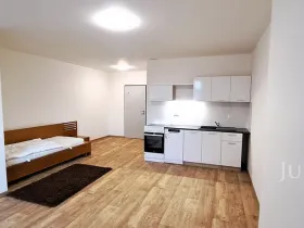 Pronájem bytu 1+kk, Čížová - Topělec, 25 m2