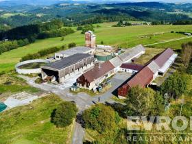 Prodej výrobních prostor, Jílové u Držkova, 107792 m2