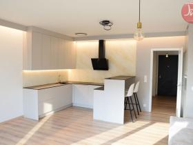 Pronájem bytu 1+kk, Ostrava, F. X. Riepla, 44 m2