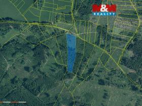 Prodej lesa, Kolinec - Buršice, 11912 m2