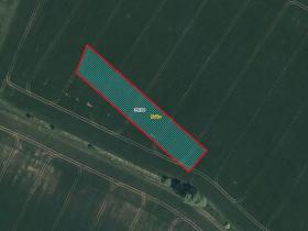 Prodej pole, Hlušice, 4486 m2